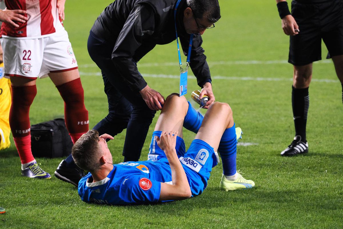 Ionel Ganea propune o mutare majoră la Rapid: „L-aș pune președinte! Daniel Niculae nu e potrivit”