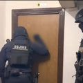 Ultrașii Stelei, săltați de Poliție, la trei săptămâni după ce au capturat Nuova Guardia