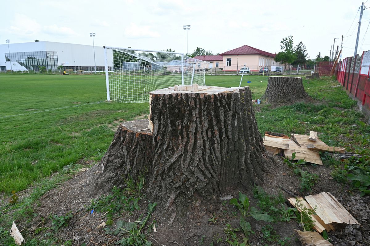 Game of Thrones în Liga 4 » Zmeii din Ogrezeni, campioni la pastramă! „Patroane, ești prea calm! Ai vândut meciul?” + Schimbare tactică: „Iese Motan, intră Pisoi”