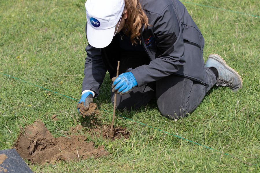 Campania O Românie Curată Începe de Acasă: Peste 500 voluntari au colectat 22 tone de deșeuri și au plantat 2500 de puieți