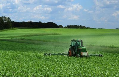 Îngrășăminte chimice și de ce au plantele nevoie de ele pentru a se dezvolta armonios!