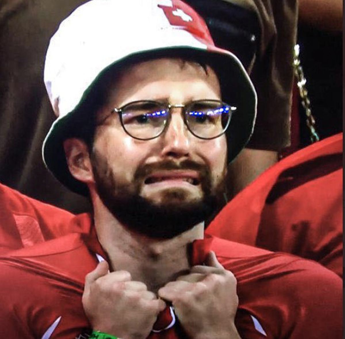 Fan Franța - Elveția