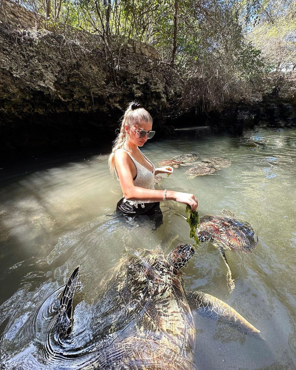 Cine este surpriza pregătită de Edi Iordănescu pentru amicalele din această lună » Soție franțuzoaică, are dublă cetățenie si e pasionat de golf