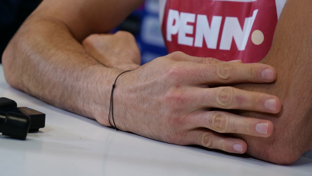 Florin Niță, la conferința de presă