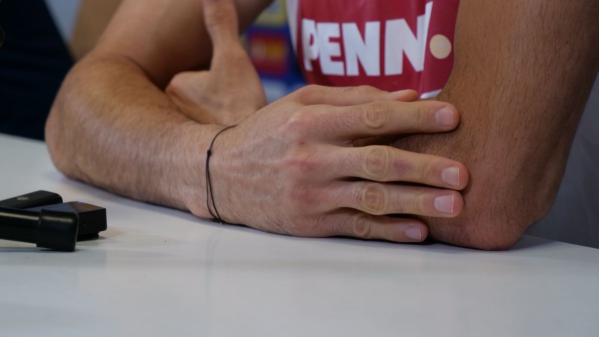 Florin Niță, la conferința de presă