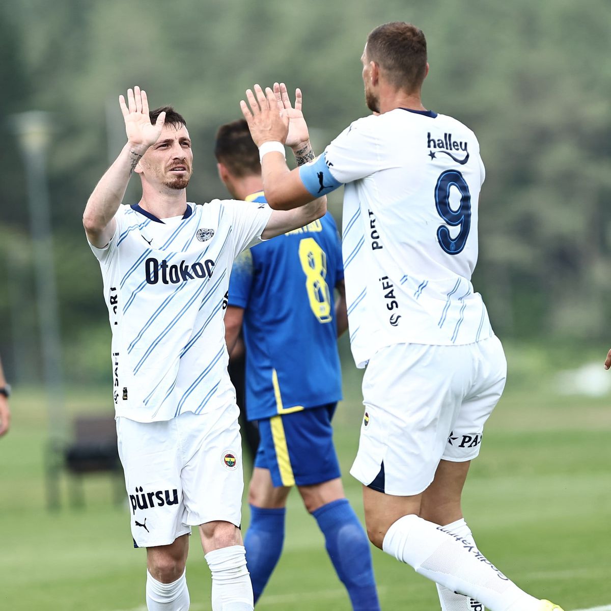 Fenerbahce - Petrolul / 29.06.2024