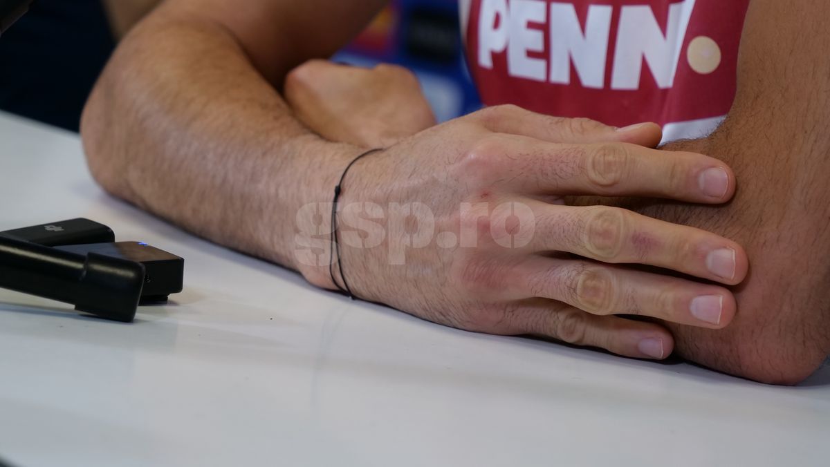 Florin Niță, la conferința de presă