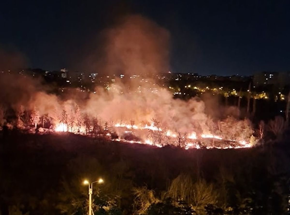 Incendiu puternic în parcul IOR din București » Fumul a ajuns în mai multe zone ale Capitalei
