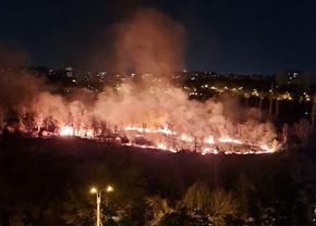 Incendiu puternic în parcul IOR din București » Fumul a ajuns în mai multe zone ale Capitalei