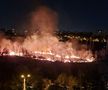 Incendiu puternic în parcul IOR din București » Fumul a ajuns în mai multe zone ale Capitalei