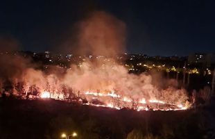 Incendiu puternic în parcul IOR din București » Fumul a ajuns în mai multe zone ale Capitalei