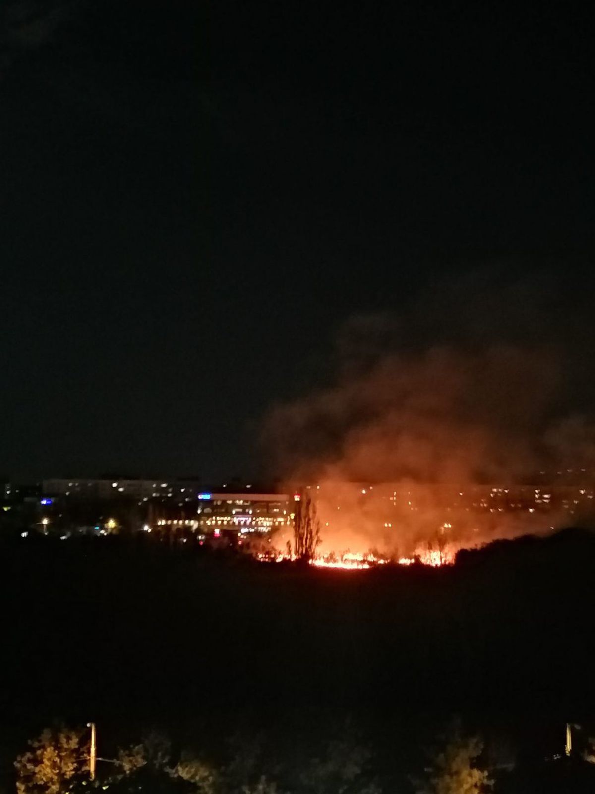 Incendiu puternic în parcul IOR din București » Fumul a ajuns în mai multe zone ale Capitalei