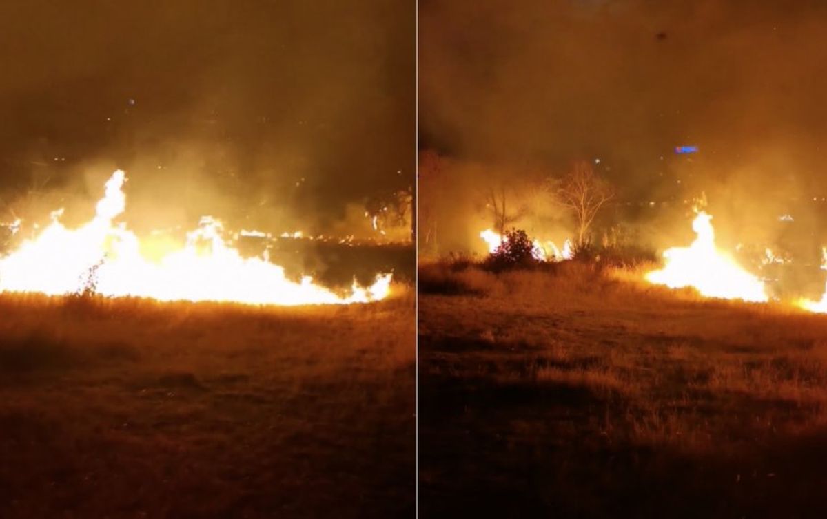 Incendiu de vegetație în parcul IOR / FOTO: Captură @Antena 3