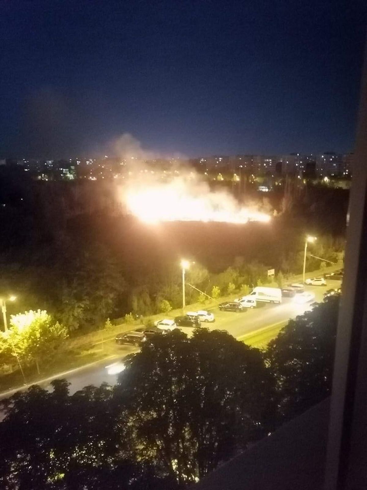 Incendiu de vegetație în parcul IOR / FOTO: Captură @Antena 3