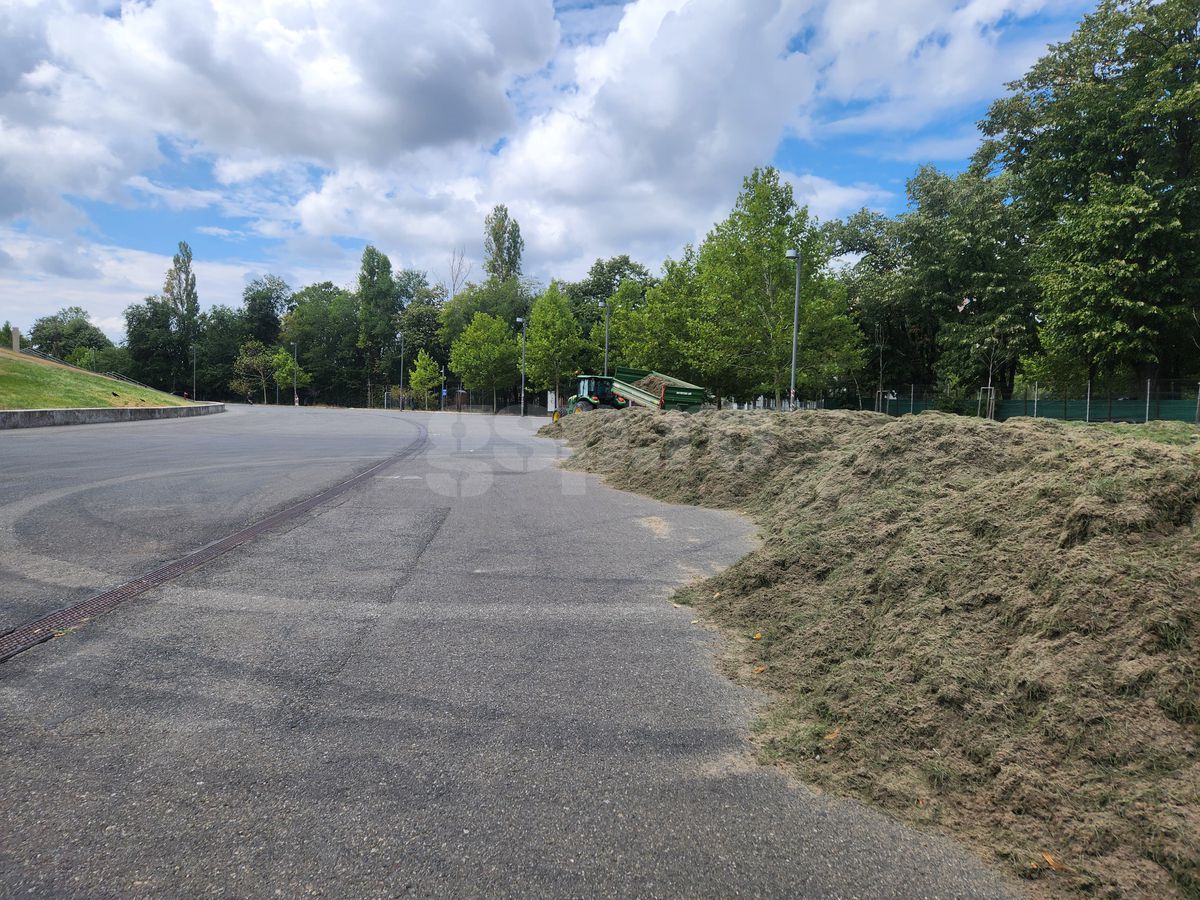 Schimbare gazon Arena Națională