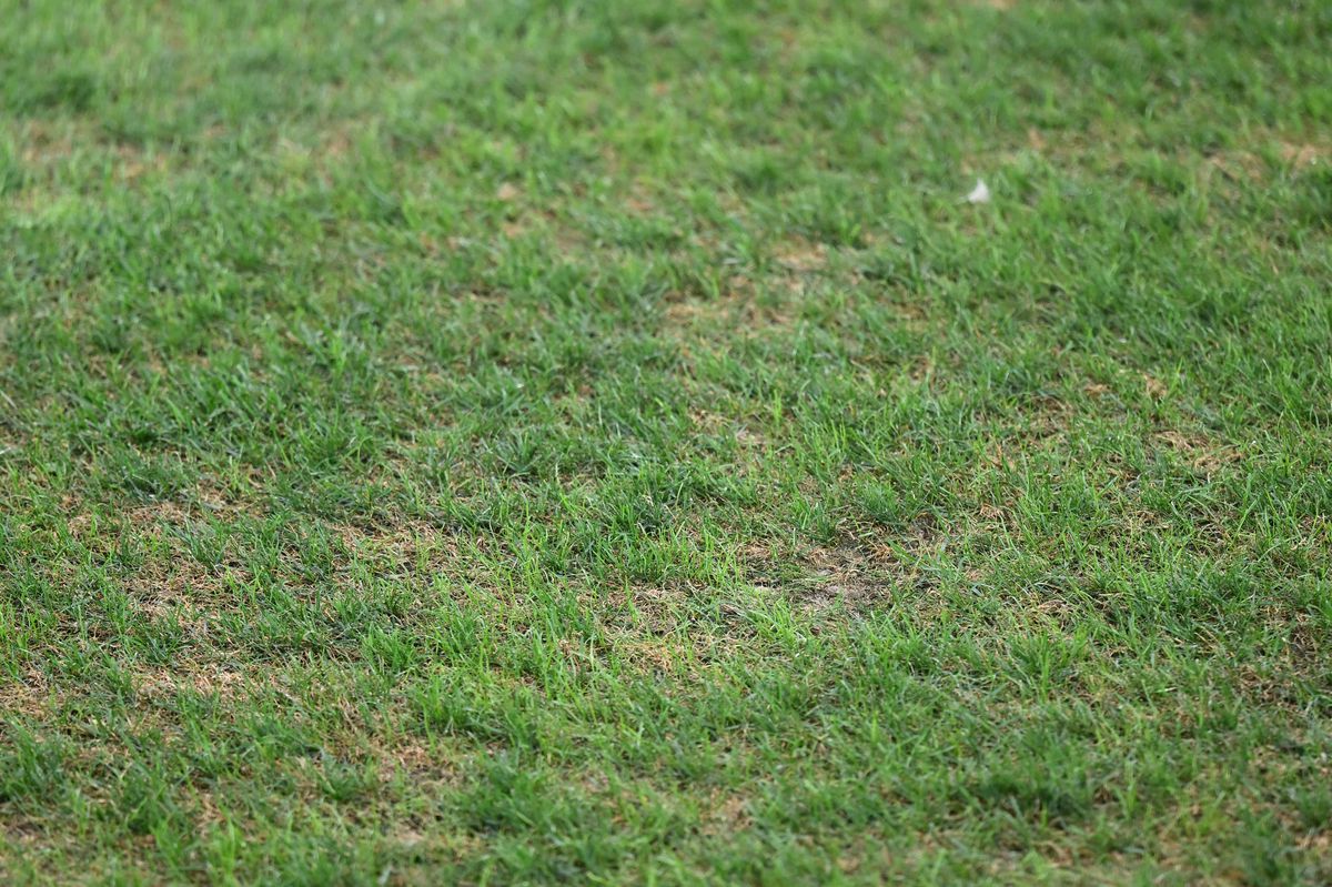 FCSB - LASK, înainte de meci, foto: Raed Krishan (GSP)