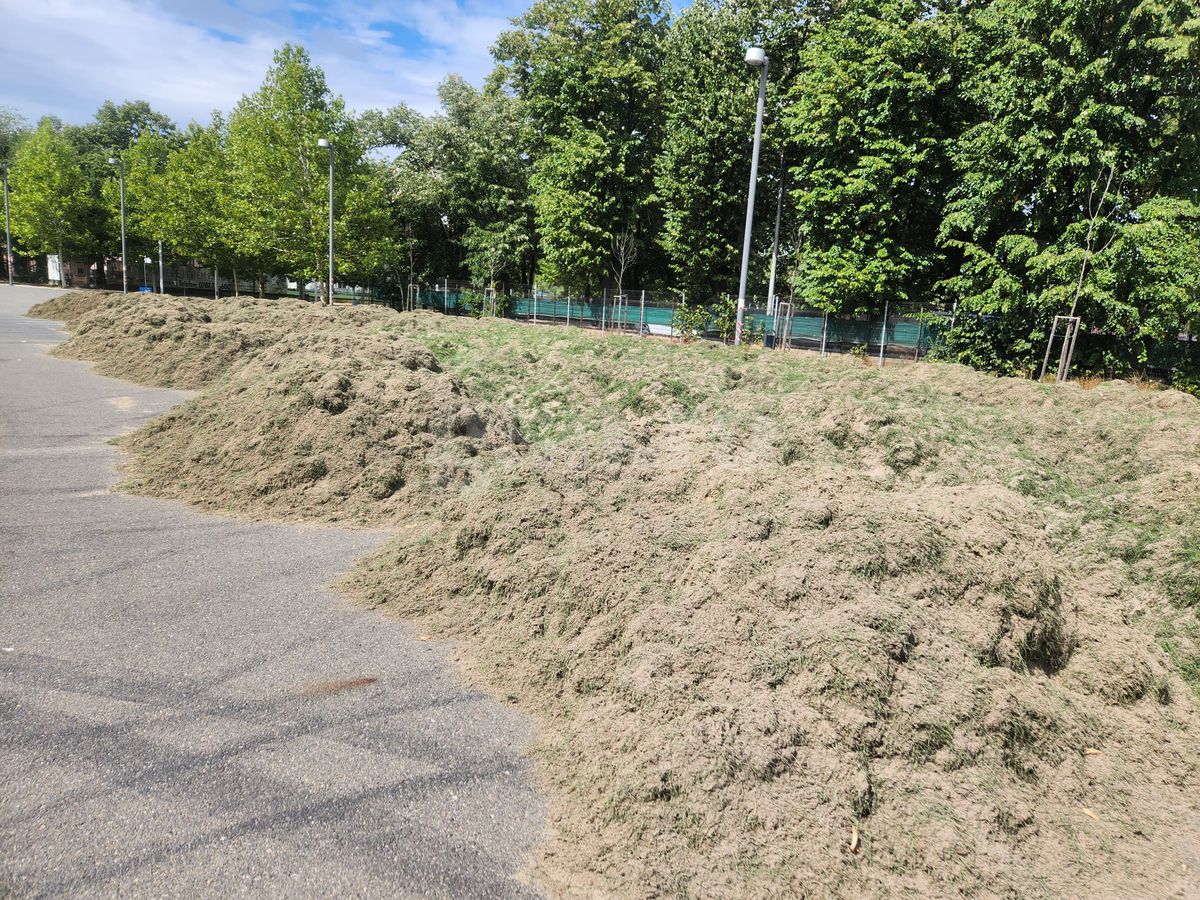 Schimbare gazon Arena Națională