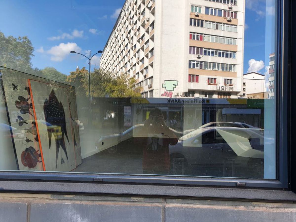 Aici va fi noua casă a lui Dinamo