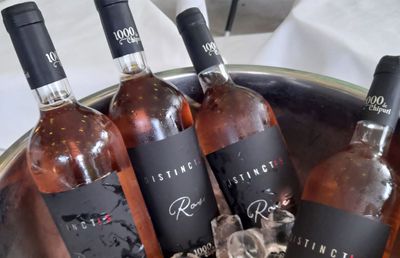 Sfaturi corporate: Vrei un cadou imbatabil pentru clienţi? Alege un vin rozé! Vrei un cadou imbatabil pentru angajaţi? Alege un team building la cramă!