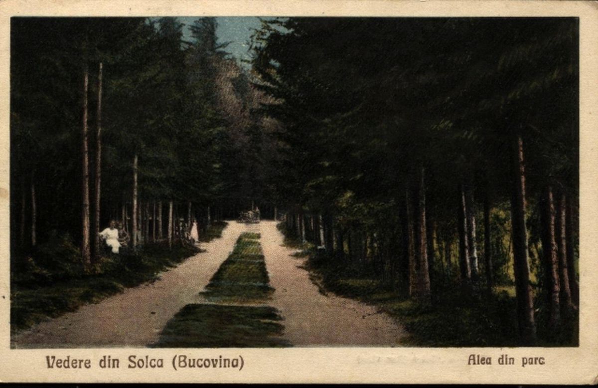 Senzaționala Solca - tentația lui Lucescu și Becali