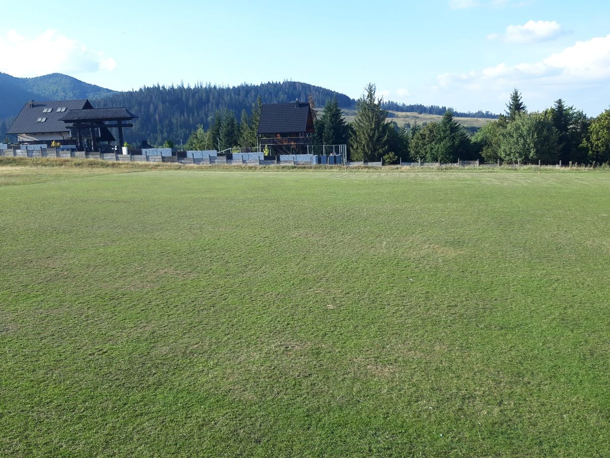 Senzaționala Solca - tentația lui Lucescu și Becali