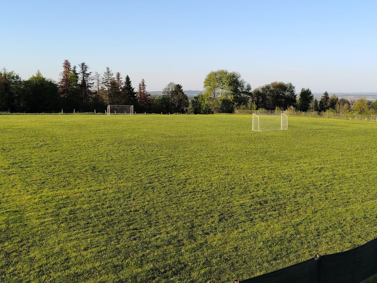 Senzaționala Solca - tentația lui Lucescu și Becali