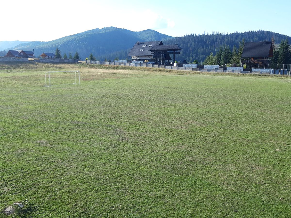 Senzaționala Solca - tentația lui Lucescu și Becali