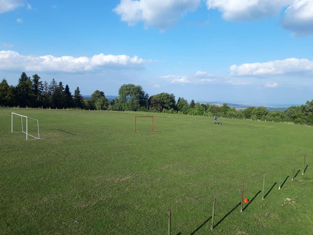 Senzaționala Solca - tentația lui Lucescu și Becali