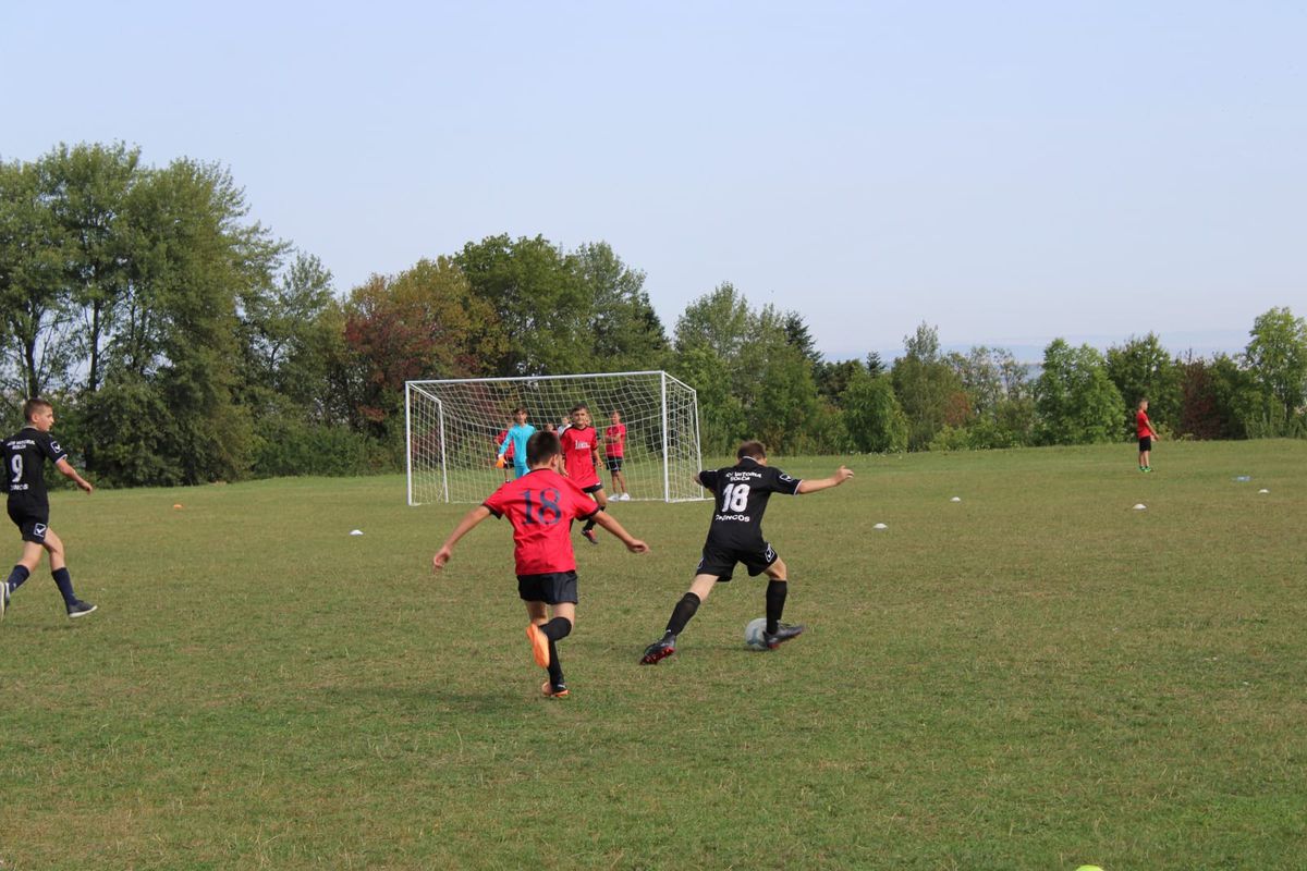 Senzaționala Solca - tentația lui Lucescu și Becali