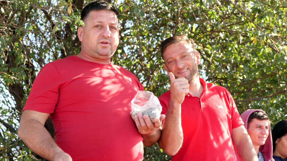 Scandal, urlete și amenințări » L-au „mușcat” pe Castor și a început haosul: „Băi țărane, vezi că la noi se merge pe stradă cu drujba pornită!”