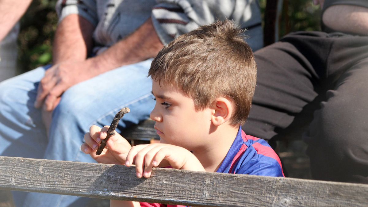 Scandal, urlete și amenințări » L-au „mușcat” pe Castor și a început haosul: „Băi țărane, vezi că la noi se merge pe stradă cu drujba pornită!”