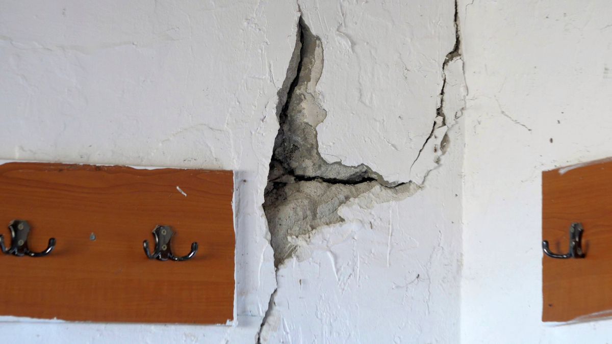 Scandal, urlete și amenințări » L-au „mușcat” pe Castor și a început haosul: „Băi țărane, vezi că la noi se merge pe stradă cu drujba pornită!”