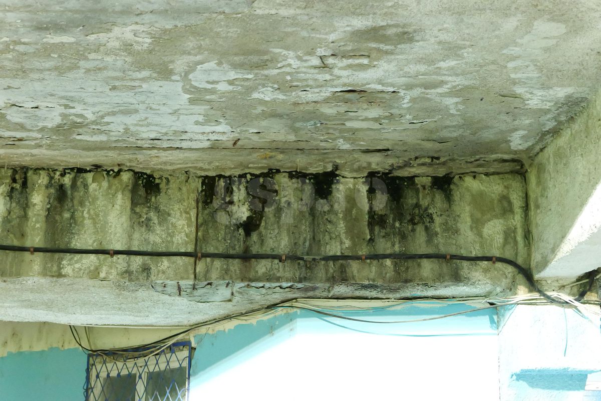 Tribune Gloria Bistrița