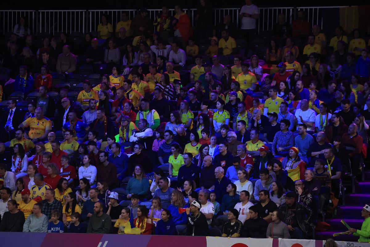 Fanii români în timpul meciului România - Japonia