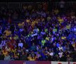 Fanii români în timpul meciului România - Japonia