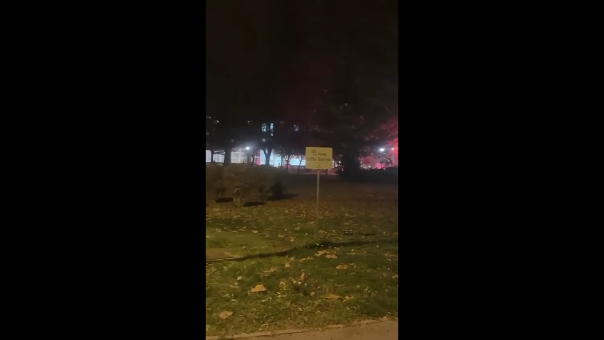 După meciul cu FCSB, temuții ultrași ai Stelei Roșii Belgrad s-au bătut cu altă galerie celebră din Europa