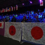 România - Japonia / FOTO: Ionuț Iordache (GSP.ro)