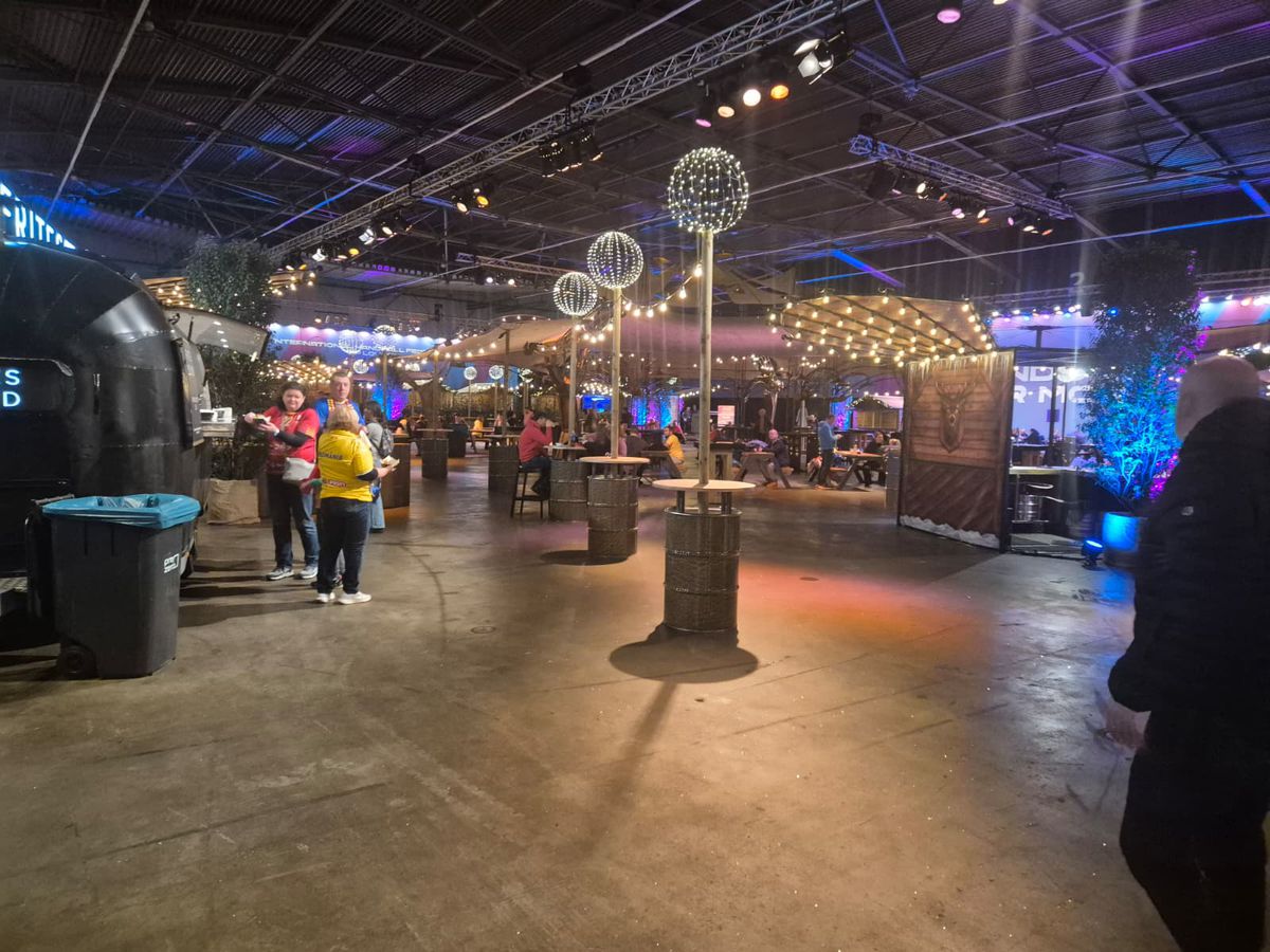 Suporterii tricolori înainte de România - Japonia, la Rotterdam