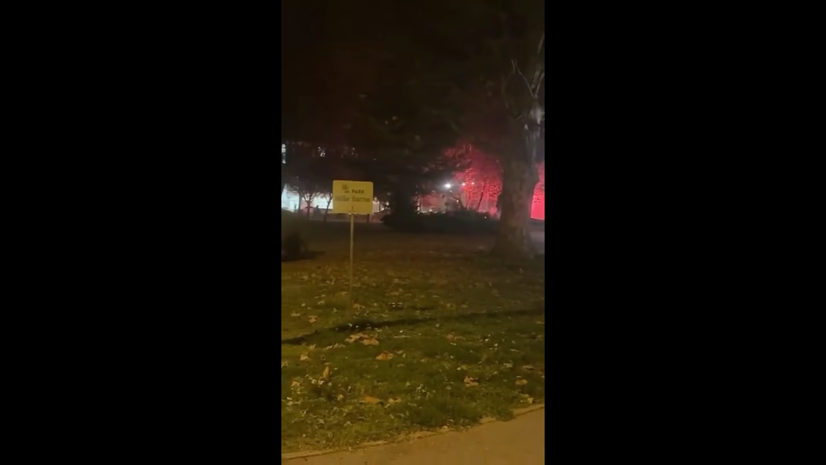 După meciul cu FCSB, temuții ultrași ai Stelei Roșii Belgrad s-au bătut cu altă galerie celebră din Europa