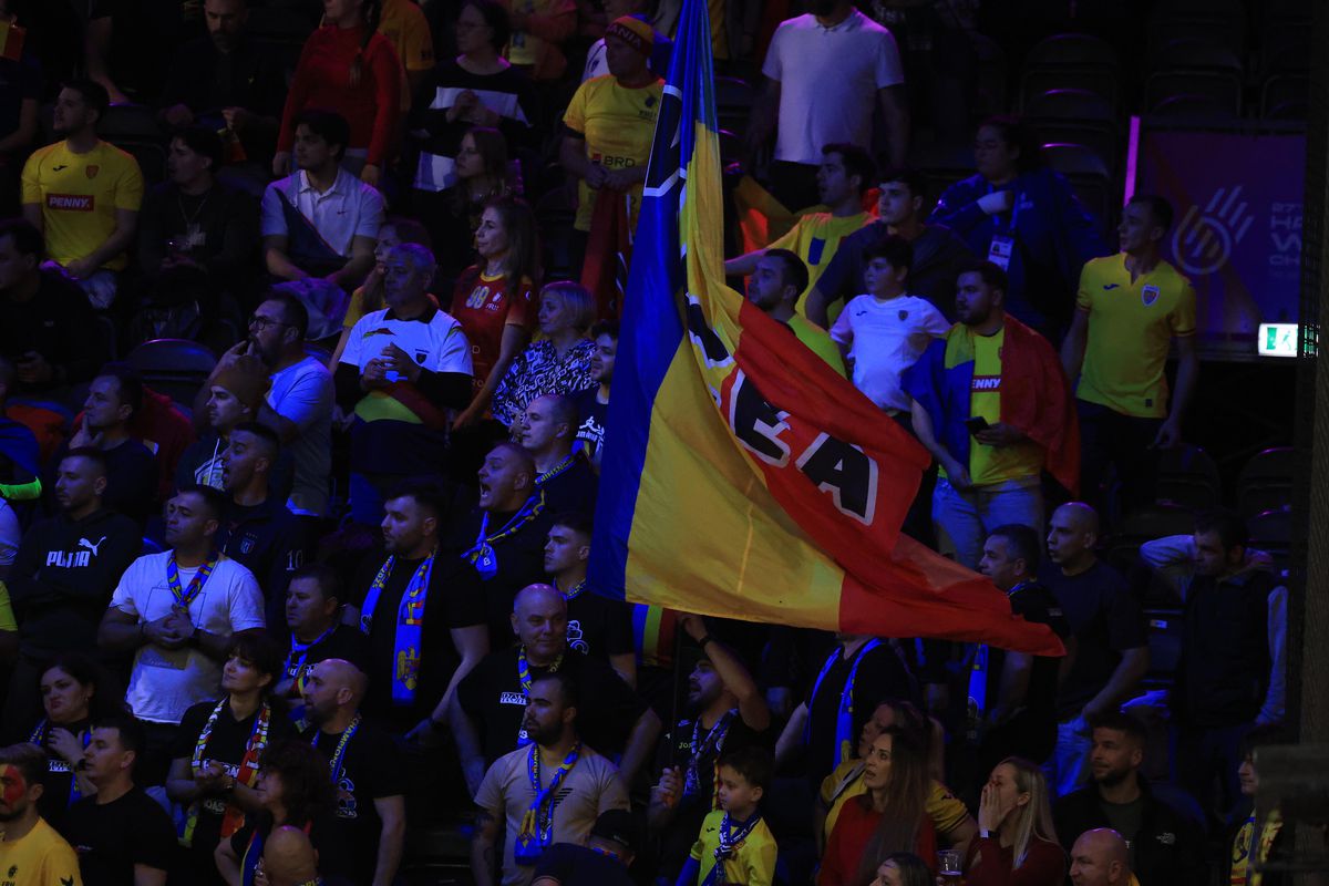 Fanii români în timpul meciului România - Japonia