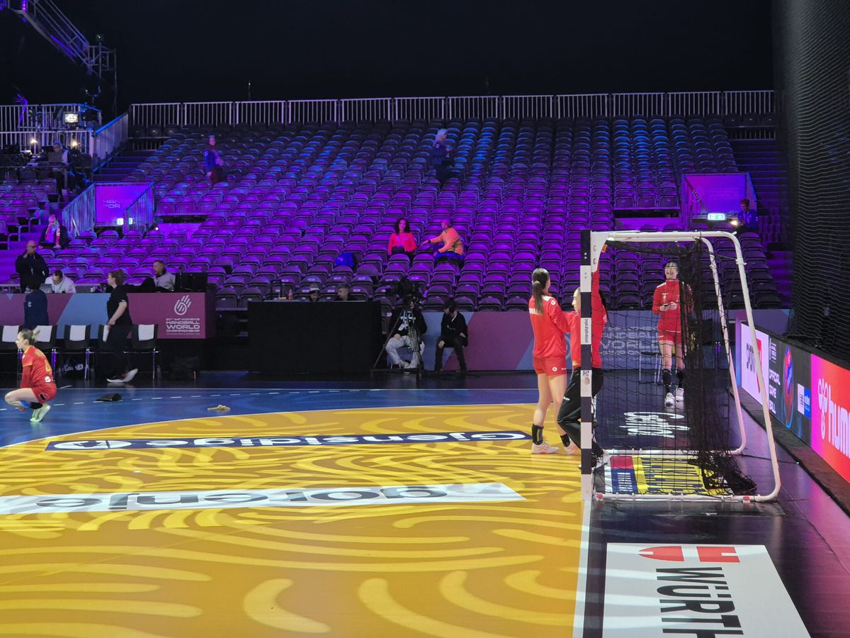 Suporterii tricolori înainte de România - Japonia, la Rotterdam