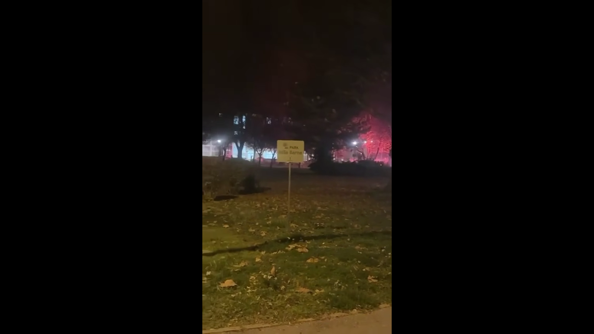 După meciul cu FCSB, temuții ultrași ai Stelei Roșii Belgrad s-au bătut cu altă galerie celebră din Europa