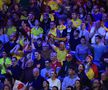 Fanii români în timpul meciului România - Japonia