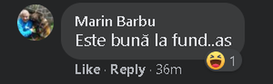 Mironică, MM Stoica și Marin Barbu, glume sexiste pe Facebook: „Mădălina Ghenea, noul nostru fundaș din Serie A”