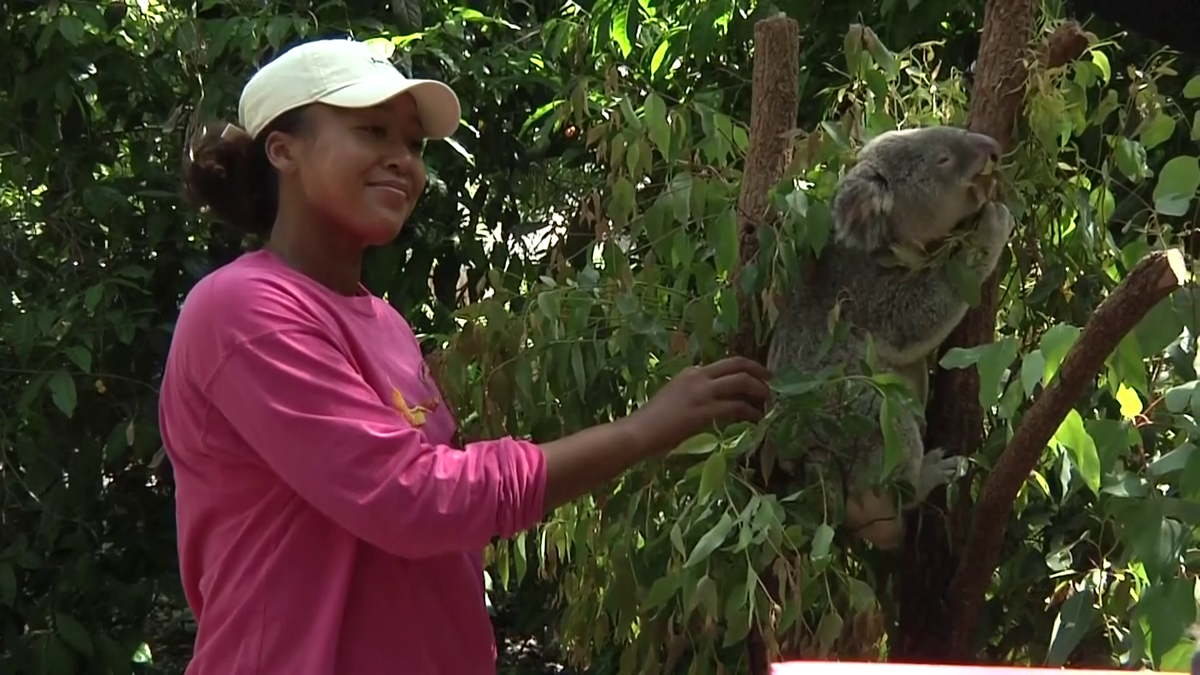 Naomi Osaka a fost fastinată de urșii koala