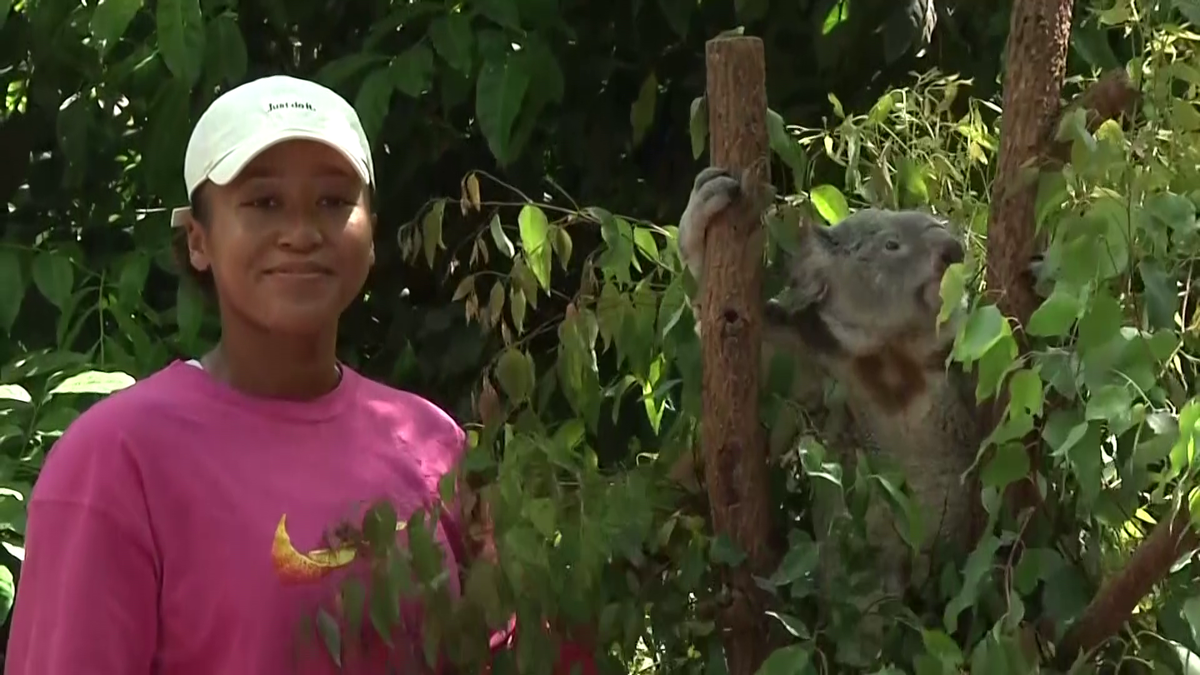 Naomi Osaka a fost fastinată de urșii koala