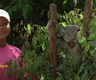 Naomi Osaka a fost fastinată de urșii koala