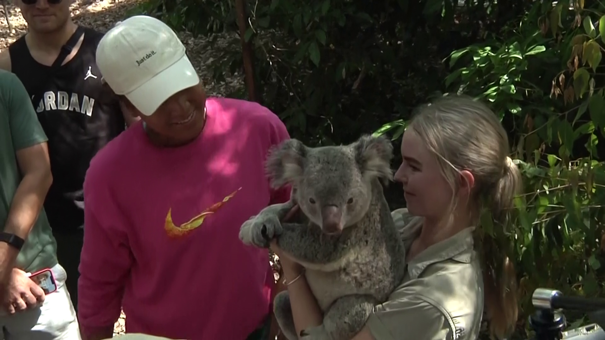 Naomi Osaka a fost fastinată de urșii koala