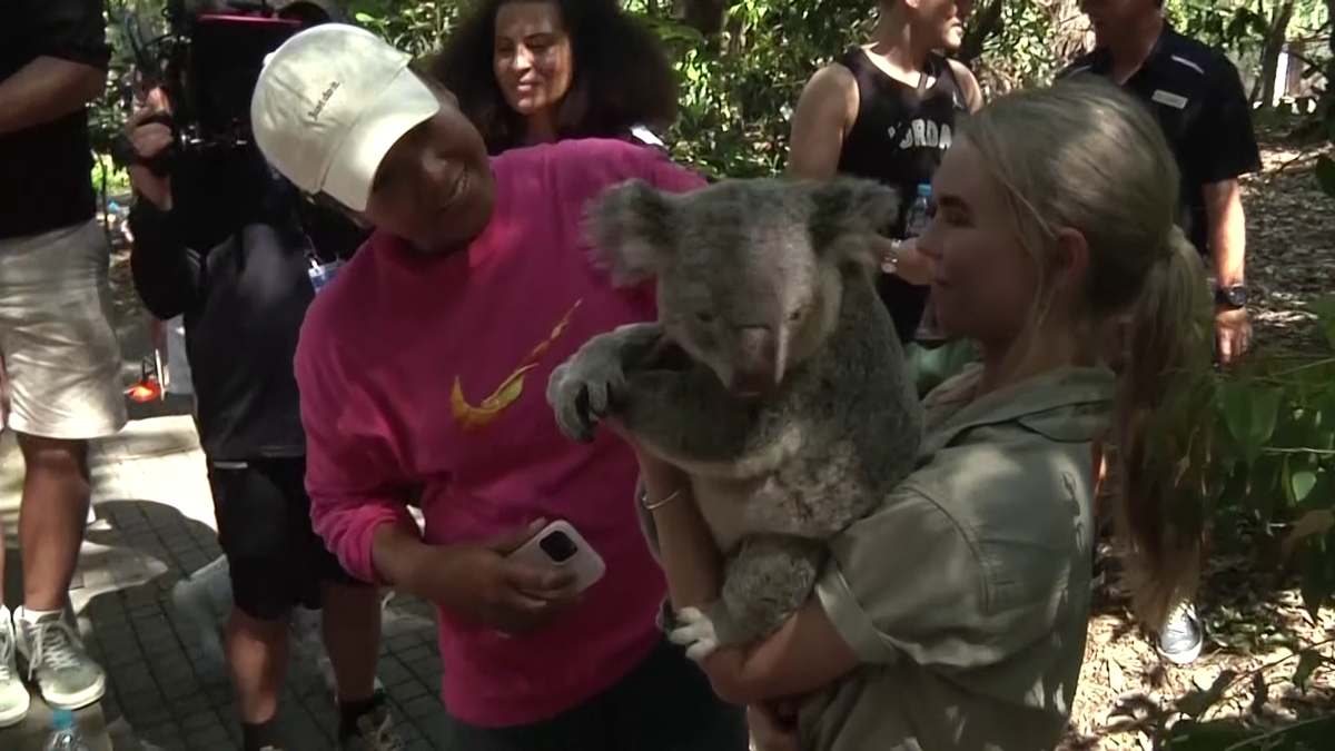 Naomi Osaka a fost fastinată de urșii koala