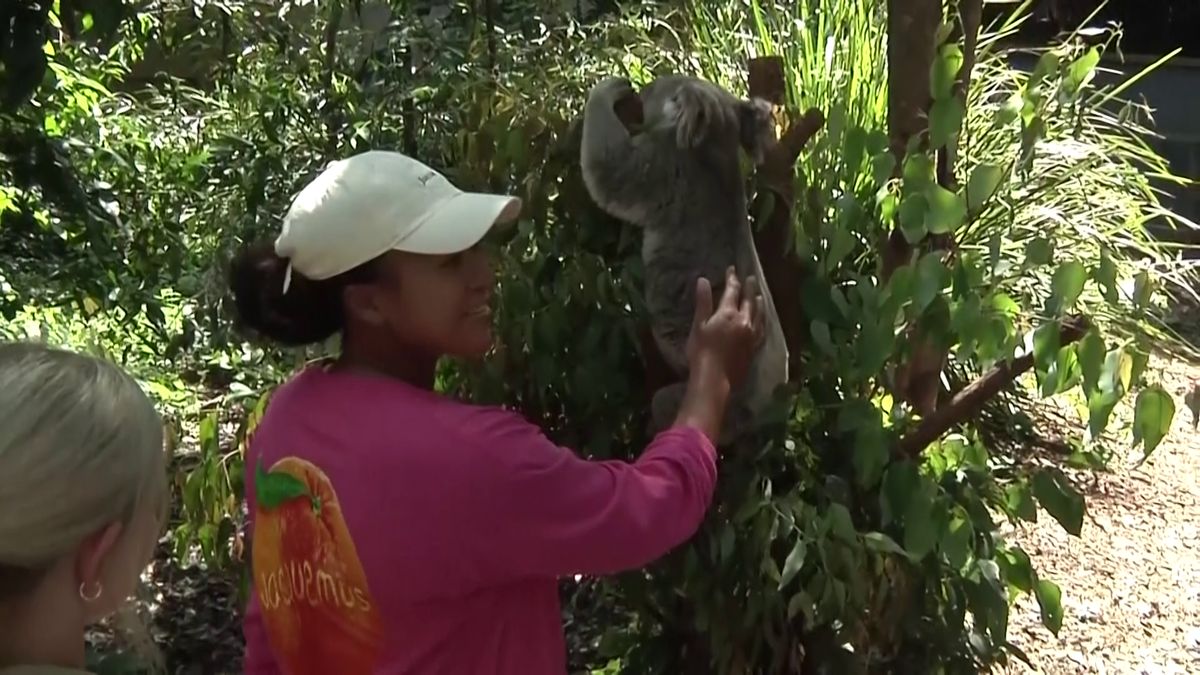 Naomi Osaka a fost fastinată de urșii koala